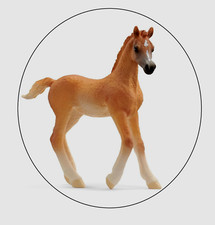 schleich 13984 Araber Fohlen