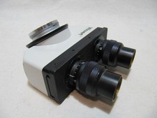 Will Hund Binokulartubus