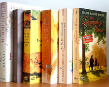 BUCHPAKET+HISTORISCHE Romane+6