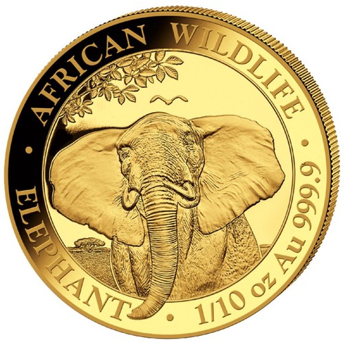 2021 somalia elefant - elefant, 1/10
