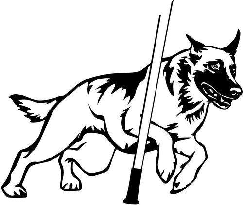 Malinois aufkleber - aufkleber,