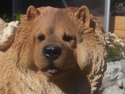 Gartenfigur chow deko - chow,