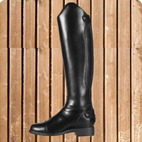 Ariat bromont dressage - dressage, h20