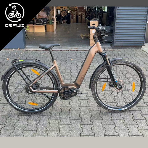 Deruiz mica pro bike - e-bike, 29"
