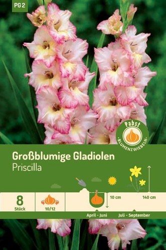Frühjahrsblumenknollen