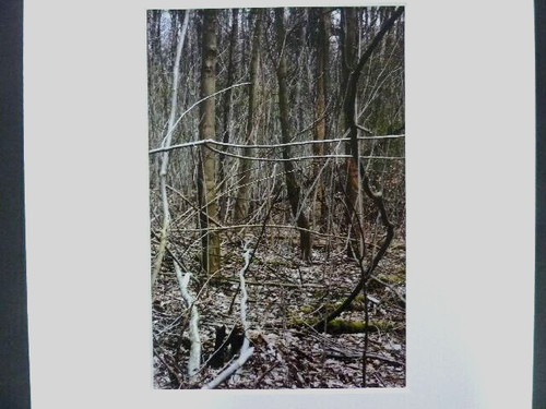 Stell auf 2008 wald - 2008, "wald"