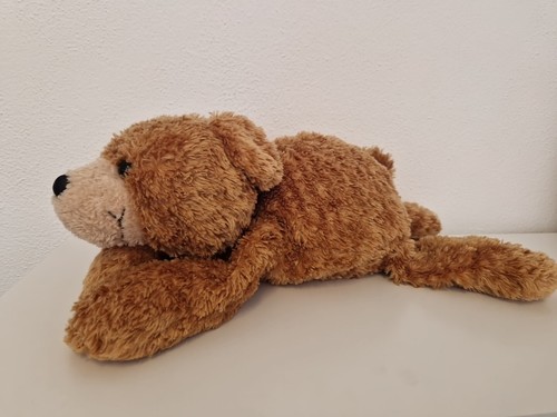 Nici bär teddy - nici,