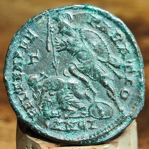 Constantius maiorina mit - constantius,