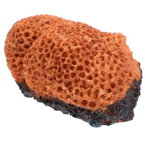 Farbiges riffgestein - farbiges,