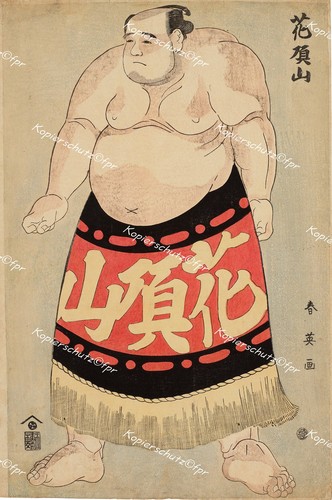 Japan tokio sumo ringer - japan,