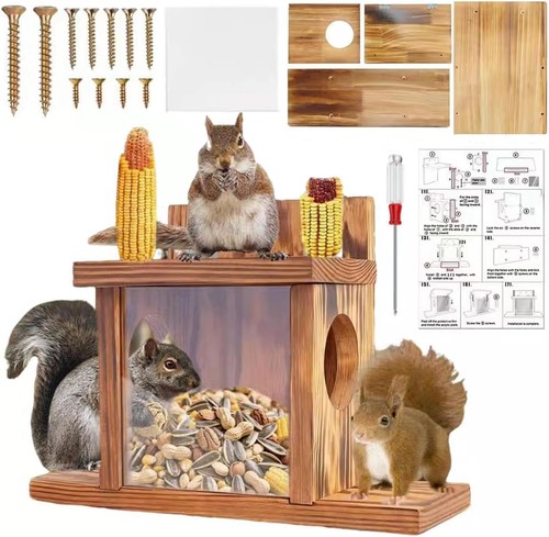 Eichhörnchen futterhaus holz - eichhörnchen,