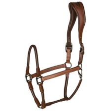 Catago Equestrian Braun Full