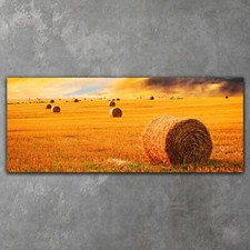Leinwandbilder Wandbild XXL