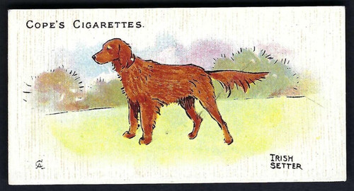 Cope dogs the world - dogs,