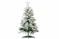 Tannenbaum beleuchtet  mit