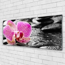 Glasbilder Wandbild Druck auf