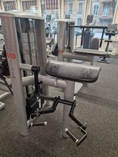 Gym80 Sygnum  Arm Curl