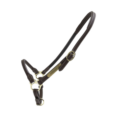 Stallhalfter leder - stallhalfter,