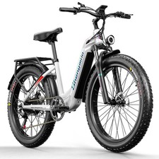 Shengmilo MX06 E Bike