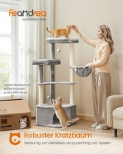 Feandrea Kratzbaum