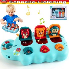 Montessori Pop up Baby