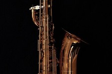 🔥New Yanagisawa B-WO20