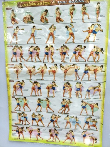 Poster traditionelles - poster,