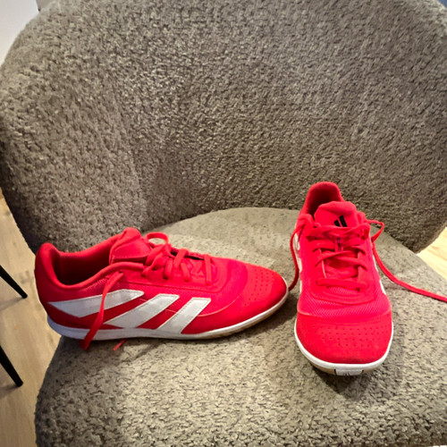 Adidas predator hallenschuhe - predator,