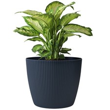 Blumentopf mit Untersetzer