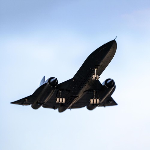 Blackbird twin 40mm bnf - 40mm,