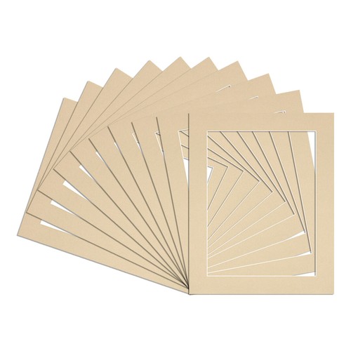 Procut 10er pack - procut,