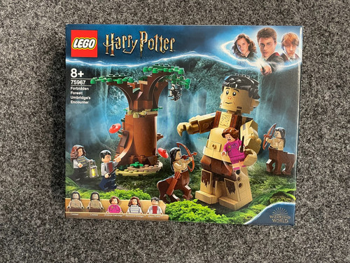 Lego harry potter 75967 - harry,