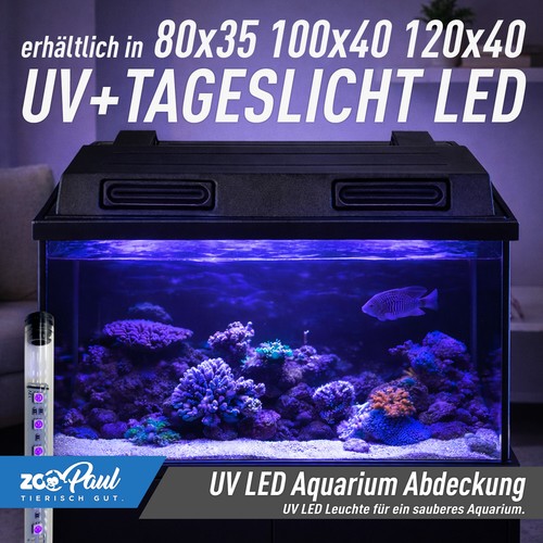 Zoopaul led terrarium - 🦎,