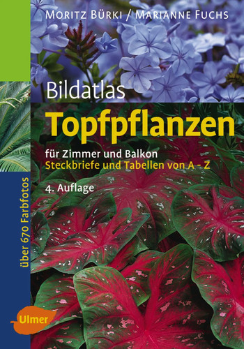 Bildatlas topfpflanzen für - bildatlas,