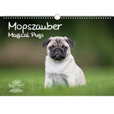 Mopszauber DIN A3