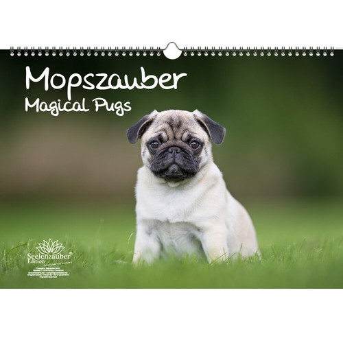 Mopszauber din - din, a3