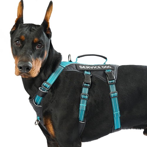 Hundegeschirr für große