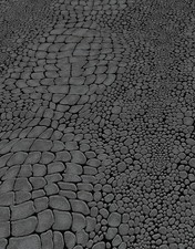 3,00 €/qm /Tapete Erismann