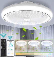 80W Deckenventilator