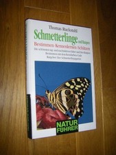 Schmetterlinge und Raupen