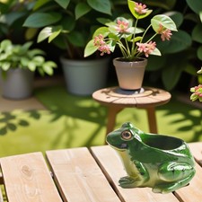 Bezaubernde und verspielte