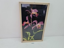 Bild Druck Orchidee in
