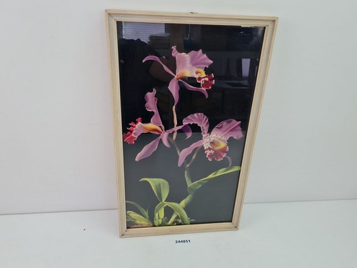 Bild druck orchidee - bild, in