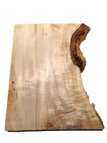Pappel maser holz - 1x,