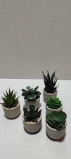6 Stück Künstliche Pflanzen, Kleine Kunstpflanze Wie Echt mit Topf, Sukkulenten