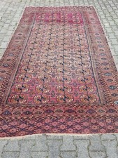 Beauty & rare! seltener Russ