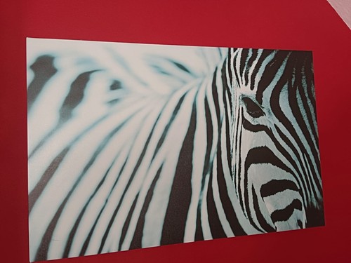 Bild als wanddeko - als,
