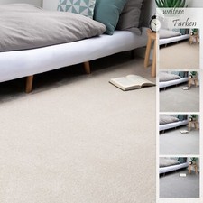 Steffensmeier Teppichboden