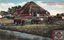 Friesische Landschaft