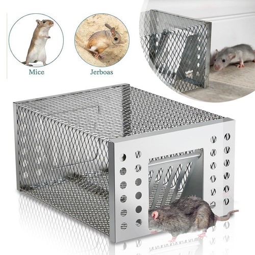 Maus lebendfalle rattenfalle - lebendfalle,